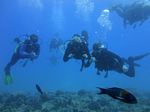 Hawaii Scuba divng 77