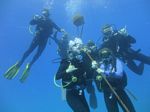 Hawaii Scuba divng 78