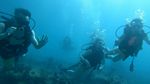 Oahu Scuba 19