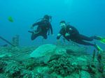 Hawaii Scuba divng 10