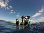 Hawaii Scuba divng 37