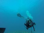 Hawaii Scuba divng 48