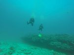 Hawaii Scuba divng 49