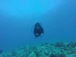 Hawaii Scuba divng 51