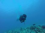 Hawaii Scuba divng 51