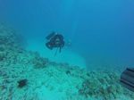 Hawaii Scuba divng 52