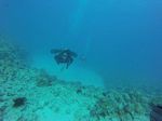 Hawaii Scuba divng 53