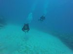 Hawaii Scuba divng 54