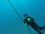 Hawaii Scuba divng 58