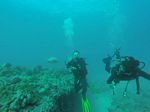 Hawaii Scuba divng 60