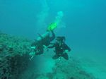 Hawaii Scuba divng 64