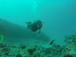 Hawaii Scuba divng 71