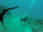 Hawaii Scuba divng 72