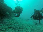 Hawaii Scuba divng 78