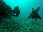 Hawaii Scuba divng 79