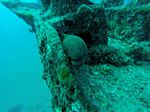Hawaii Scuba divng 07