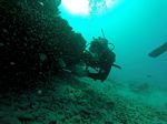 Hawaii Scuba divng 80