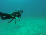 Hawaii Scuba divng 89