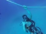 Hawaii Scuba divng 11