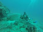 Hawaii Scuba divng 15