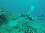 Hawaii Scuba divng 16