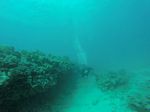 Hawaii Scuba divng 23