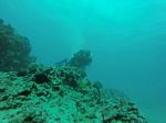 Hawaii Scuba divng 25