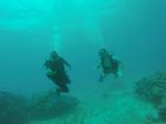 Hawaii Scuba divng 28
