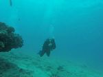 Hawaii Scuba divng 32