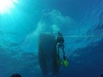 Hawaii Scuba divng 33