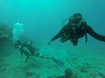Hawaii Scuba divng 36