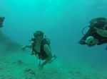 Hawaii Scuba divng 37