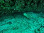 Hawaii Scuba divng 38