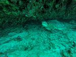 Hawaii Scuba divng 39