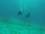 Hawaii Scuba divng 45