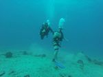 Hawaii Scuba divng 46