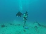 Hawaii Scuba divng 47