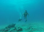 Hawaii Scuba divng 49