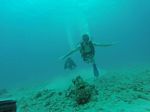 Hawaii Scuba divng 51