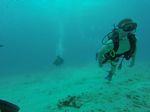 Hawaii Scuba divng 52