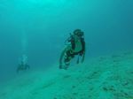 Hawaii Scuba divng 53