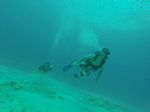 Hawaii Scuba divng 54