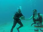 Hawaii Scuba divng 58