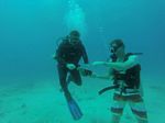 Hawaii Scuba divng 59