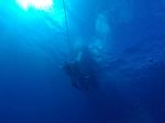 Hawaii Scuba divng 64