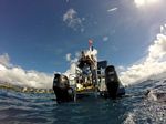 Hawaii Scuba divng 65