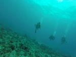 Hawaii Scuba divng 70