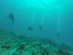 Hawaii Scuba divng 71