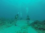 Hawaii Scuba divng 72