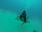 Hawaii Scuba divng 73